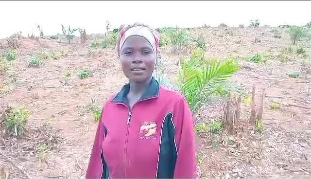 COPx Organizer COPx Organizer